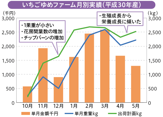 収穫量 統計 いちご