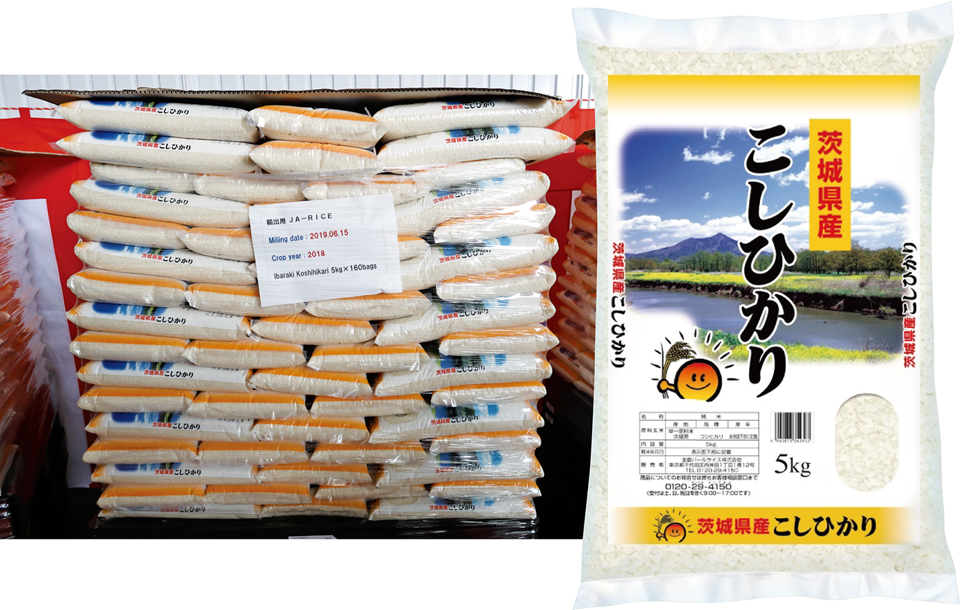 茨城県産「コシヒカリ」 いざ英国へ!|JA全農ウィークリー 2019年茨城県産コシヒカリ