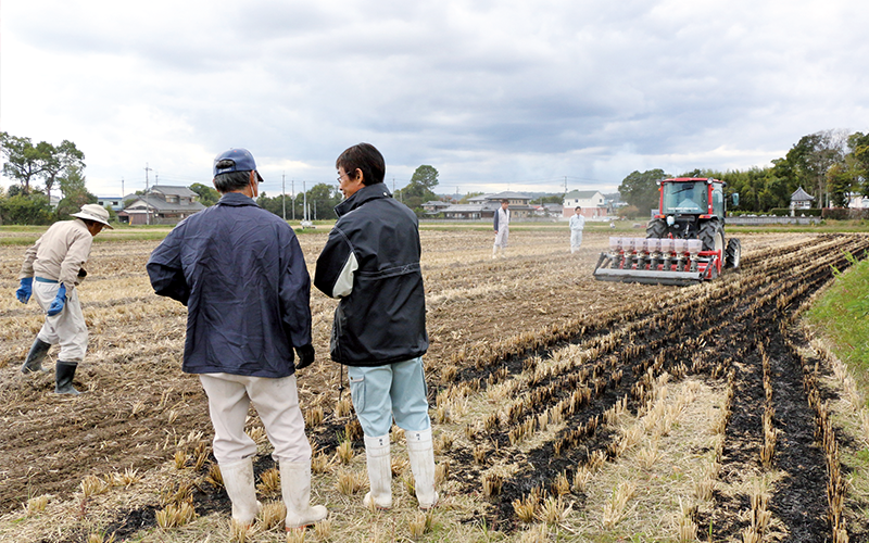 もち麦栽培 生産者と二人三脚 地域の新たな特産品を目指す ｊａ全農ウィークリー
