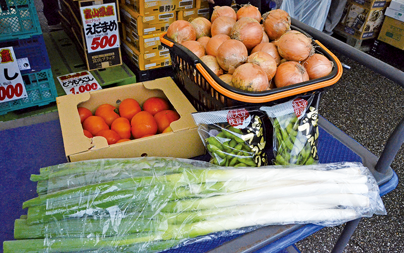 多数取りそろえた富山県産野菜