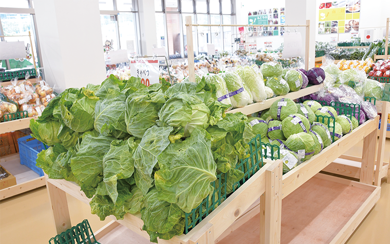 農家が丹精込めて育てた野菜がずらり