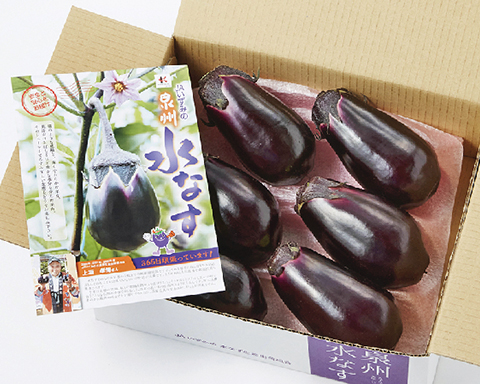 ナス 1-1575-17 ナスフラスコ TS29／42 500mL 【AXEL】 アズワン