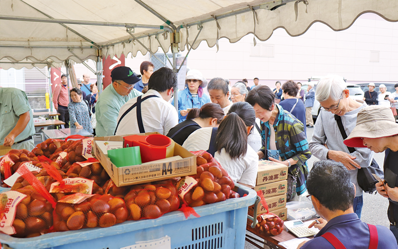 農畜産物直売所では特産「丹波くり」も人気