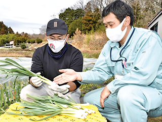 新規就農者を指導する営農指導員