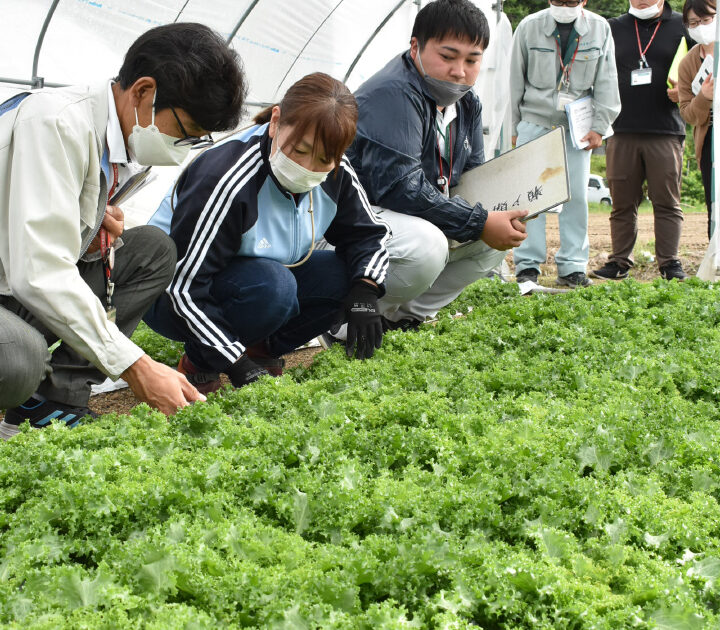 農業　学習 JAと生産者をさまざまな角度から支援｜JA全農ウィークリー