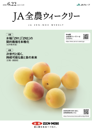 2026年6月22日（vol.1149）