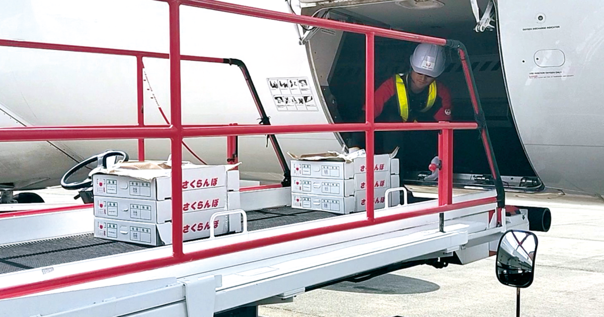 空飛ぶサクランボ」山形から即日大阪へ｜JA全農ウィークリー